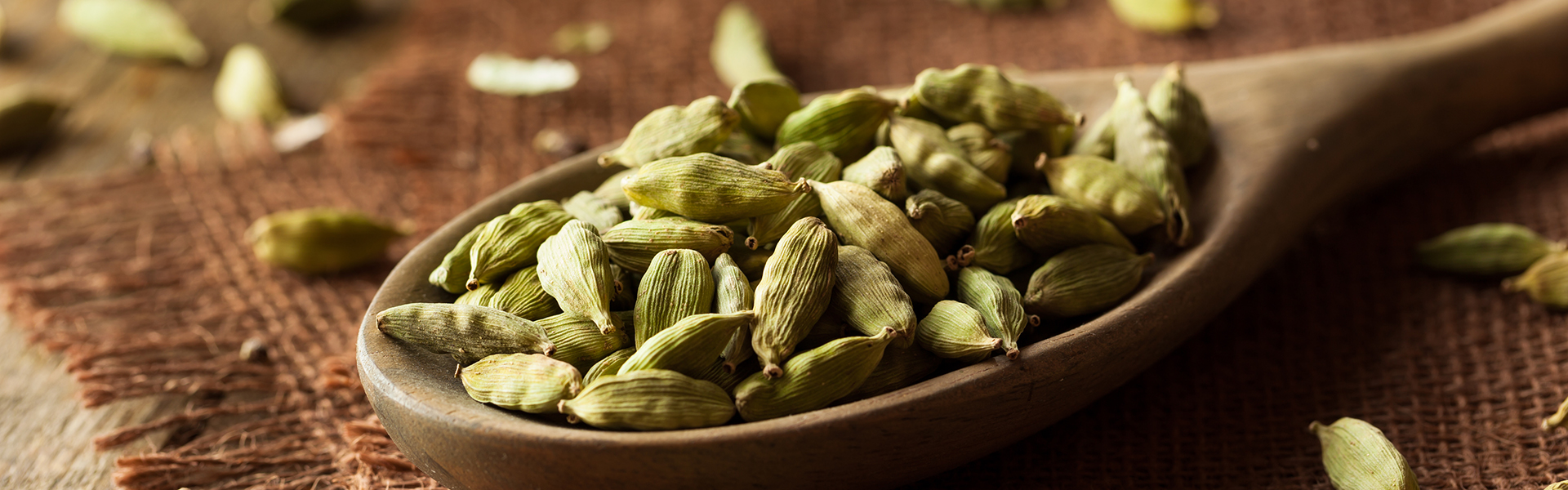 Raw Organic Cardamom Pods