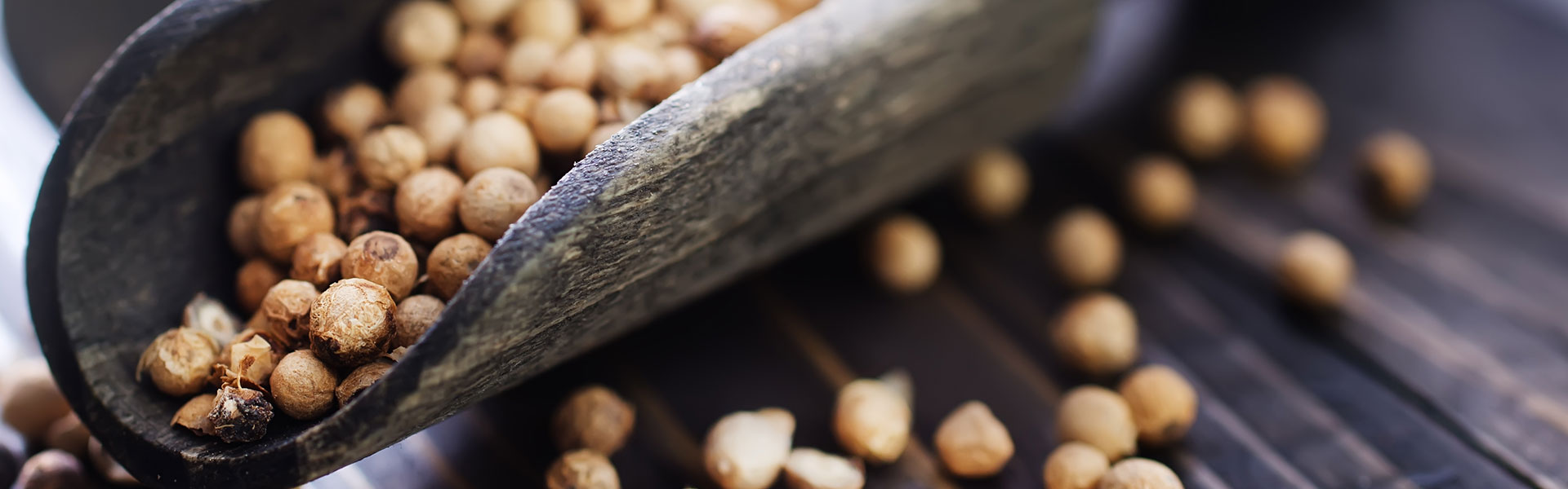 white-pepper-and-salt-PY2DZJV