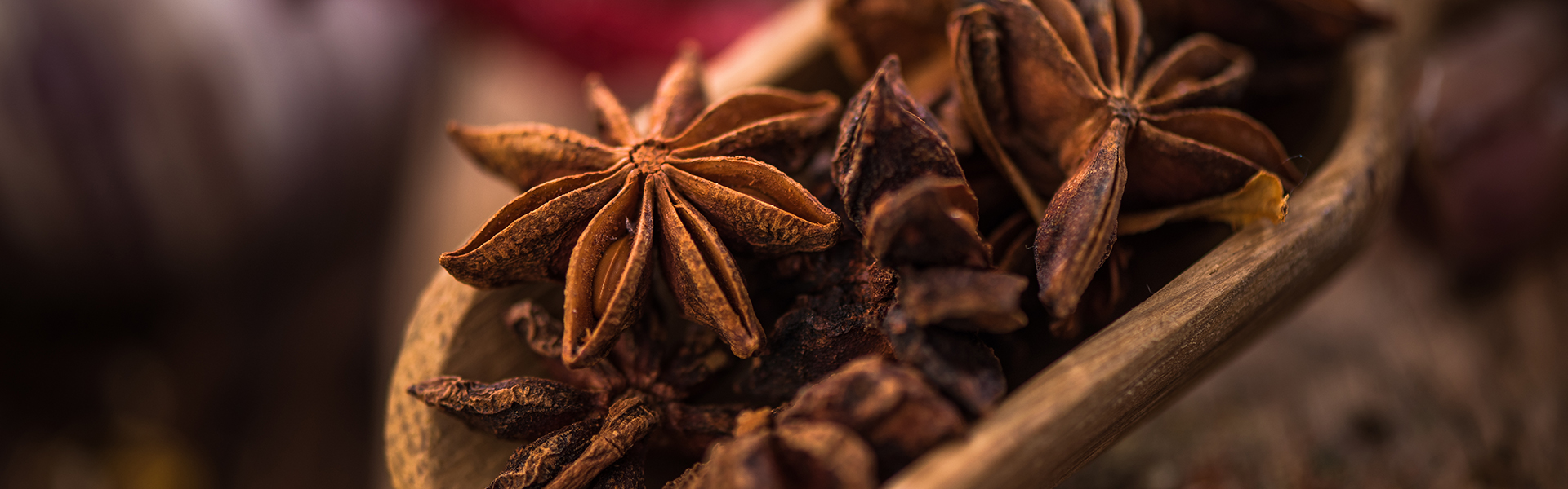 Whole anise stars on wooden spoon